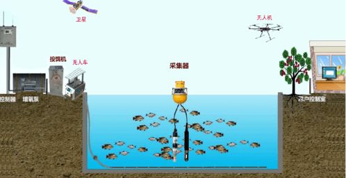 農業(yè)創(chuàng  )新創(chuàng  )業(yè)的瓶頸