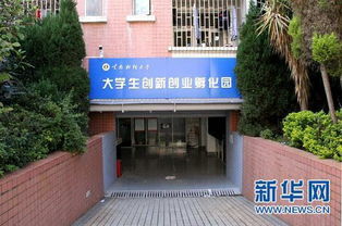 孵化,財大,創(chuàng  )新,基地