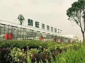 返鄉創(chuàng  )新創(chuàng  )業(yè)基地建設方案