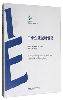 戰略,創(chuàng  )新,創(chuàng  )業(yè),管理