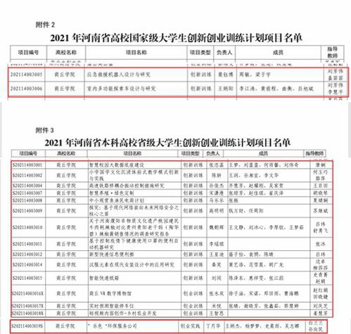 申報表,創(chuàng  )業(yè)計劃,創(chuàng  )新,項目
