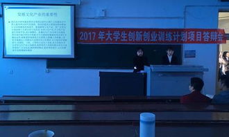 創(chuàng  )業(yè)項目,背景,創(chuàng  )新,項目