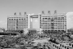 少海人才創(chuàng  )新創(chuàng  )業(yè)園,國際人才創(chuàng  )新創(chuàng  )業(yè)園,少海人才創(chuàng  )新創(chuàng  )業(yè)園項目