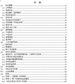 眼鏡創(chuàng)新創(chuàng)業(yè)計(jì)劃書(shū)