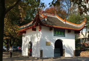 自卑,創(chuàng  )新,創(chuàng  )業(yè)