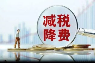 減稅降費創(chuàng  )新創(chuàng  )業(yè)