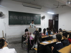 為什么競選創(chuàng  )新創(chuàng  )業(yè)協(xié)會(huì )