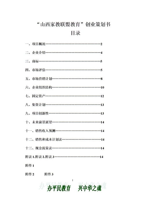 教學(xué)創(chuàng  )新創(chuàng  )業(yè)計劃書(shū)