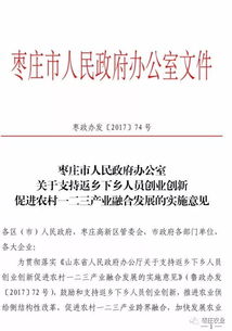 返鄉,扶持,創(chuàng  )新獎,創(chuàng  )業(yè)