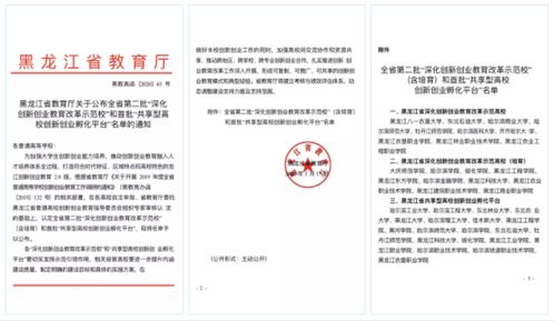 大學(xué)創(chuàng)新創(chuàng)業(yè)孵化平臺(tái)章程