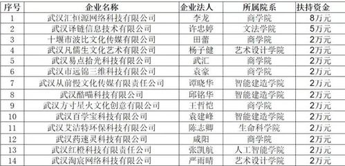 孵化,支出,資金,創(chuàng  )新