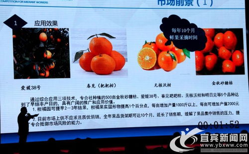 創(chuàng  )新創(chuàng  )業(yè)登錄不上