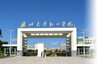 廣州大學(xué)松田學(xué)院創(chuàng)新創(chuàng)業(yè)學(xué)院院長(zhǎng)