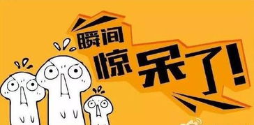 注意事項,面試,創(chuàng  )新,創(chuàng  )業(yè)