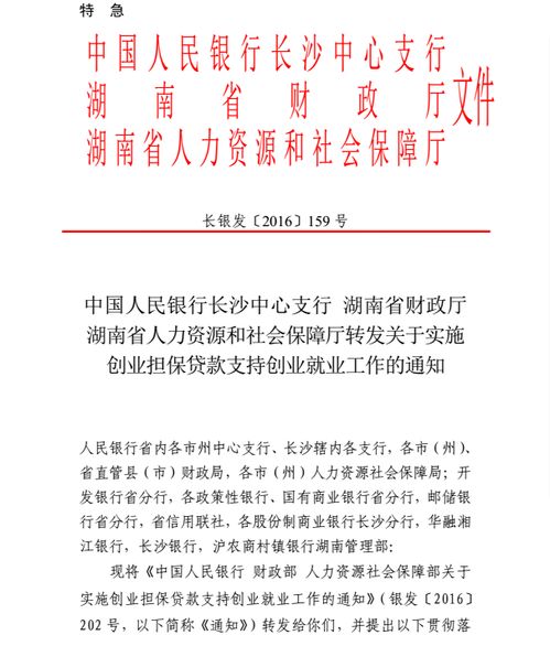 創(chuàng)業(yè)擔(dān)保貸款扶持方面特色創(chuàng)新做法主要有