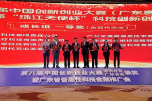 互聯(lián)網(wǎng)+大學(xué)生創(chuàng  )新創(chuàng  )業(yè)大賽參賽要求,創(chuàng  )新創(chuàng  )業(yè)大賽參賽組別,創(chuàng  )新創(chuàng  )業(yè)大賽參賽類(lèi)別
