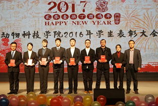 西農創(chuàng  )新創(chuàng  )業(yè)先進(jìn)個(gè)人
