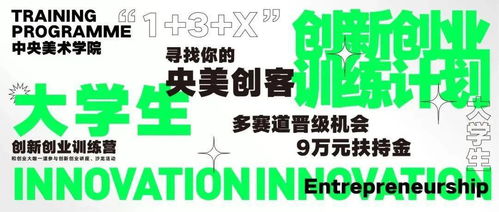 校級(jí)大學(xué)生創(chuàng)新創(chuàng)業(yè)訓(xùn)練計(jì)劃英語(yǔ)