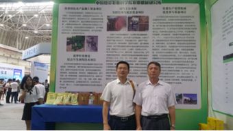 大眾,班會(huì ),萬(wàn)眾,創(chuàng  )新