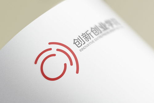 大學(xué)生對創(chuàng  )新創(chuàng  )業(yè)的認識3000字