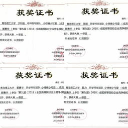 培育,關(guān)鍵環(huán)節,能力,創(chuàng  )新