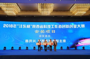 科技創(chuàng)新,創(chuàng)業(yè)項目,談談