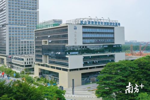 白云區港澳青年創(chuàng  )新創(chuàng  )業(yè)基地,南沙港澳青年創(chuàng  )新創(chuàng  )業(yè)基地,廣州港澳青年創(chuàng  )新創(chuàng  )業(yè)基地