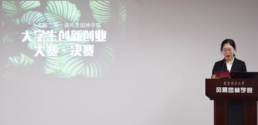 小組,創(chuàng  )新,創(chuàng  )業(yè)