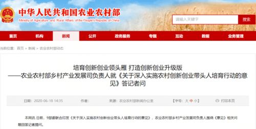 關(guān)于開(kāi)展創(chuàng  )新創(chuàng  )業(yè)活動(dòng)的建議