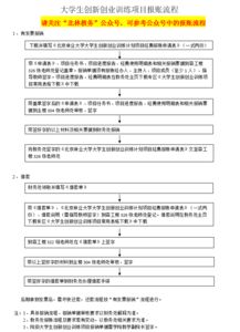 學(xué)生創(chuàng  )新創(chuàng  )業(yè)項目訓練總結