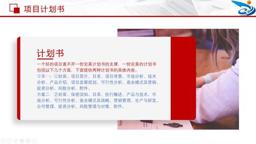 互聯(lián)網(wǎng),計劃書(shū),創(chuàng  )業(yè)項目,加大