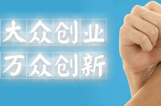 大眾創(chuàng  )業(yè)萬(wàn)眾創(chuàng  )新結果