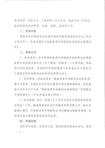 創(chuàng  )新創(chuàng  )業(yè)申報書(shū)范例,大學(xué)生創(chuàng  )新創(chuàng  )業(yè)申報書(shū),創(chuàng  )新創(chuàng  )業(yè)立項申報書(shū)