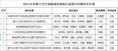 創(chuàng)新創(chuàng)業(yè)項目計劃書,創(chuàng)新創(chuàng)業(yè)項目點子,大學生創(chuàng)新創(chuàng)業(yè)項目