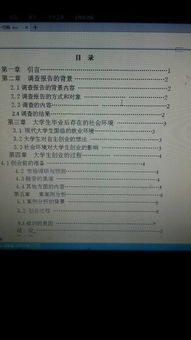 大學生創(chuàng)業(yè)與創(chuàng)新論文,大學生創(chuàng)業(yè)創(chuàng)新論文1000字,大學生創(chuàng)業(yè)創(chuàng)新論文3000字