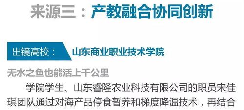 大學(xué)生創(chuàng  )新創(chuàng  )業(yè)的團隊協(xié)作怎么寫(xiě),大學(xué)生創(chuàng  )新創(chuàng  )業(yè)訓練項目官網(wǎng),大學(xué)生創(chuàng  )新創(chuàng  )業(yè)的團隊介紹