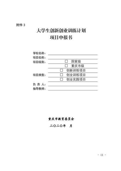 計劃書(shū),創(chuàng  )業(yè)項目,創(chuàng  )新,大學(xué)生