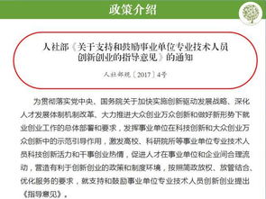 專業(yè)技術人員,創(chuàng)新,創(chuàng)業(yè)