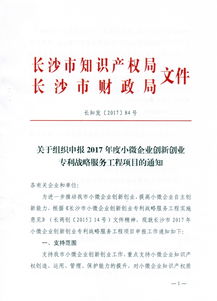 創(chuàng  )新創(chuàng  )業(yè)專(zhuān)利技術(shù)