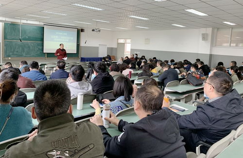 指導老師,情況,創(chuàng  )新,支持