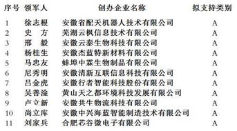 管理團隊,創(chuàng  )業(yè)項目,創(chuàng  )新