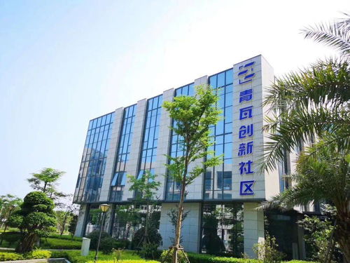 廈門(mén),基本情況,創(chuàng  )新,創(chuàng  )業(yè)