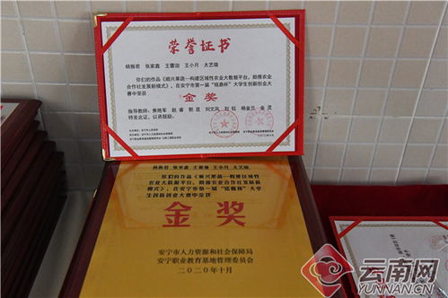 有用嗎,創(chuàng  )新,創(chuàng  )業(yè),大學(xué)生