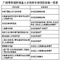 創(chuàng  )新創(chuàng  )業(yè)項目實(shí)施情況綜述