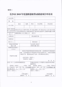 帶動(dòng),申請報(bào)告,就業(yè),創(chuàng)新