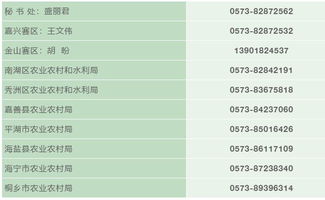 創(chuàng  )新創(chuàng  )業(yè)計劃書(shū)報名查重嗎