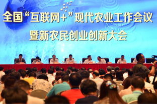 創(chuàng  )新,創(chuàng  )業(yè),農業(yè)