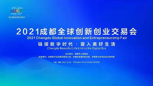 英文,交通運輸,實(shí)踐,案例