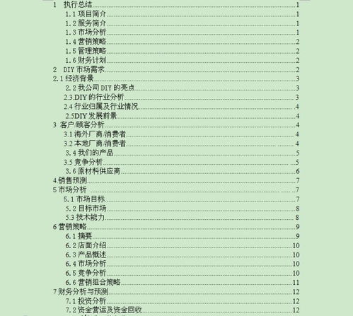 diy的創(chuàng)新創(chuàng)業(yè)計(jì)劃書(shū)