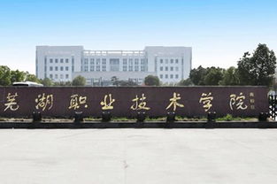 蕪湖職業(yè)技術(shù)學(xué)院互聯(lián)網(wǎng)+創(chuàng  )業(yè)創(chuàng  )新,蕪湖職業(yè)技術(shù)學(xué)院電子商務(wù)創(chuàng  )業(yè)班,湖南交通職業(yè)技術(shù)學(xué)院創(chuàng  )新創(chuàng  )業(yè)就業(yè)信息網(wǎng)